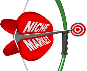 Niche Market - Bow & Arrow